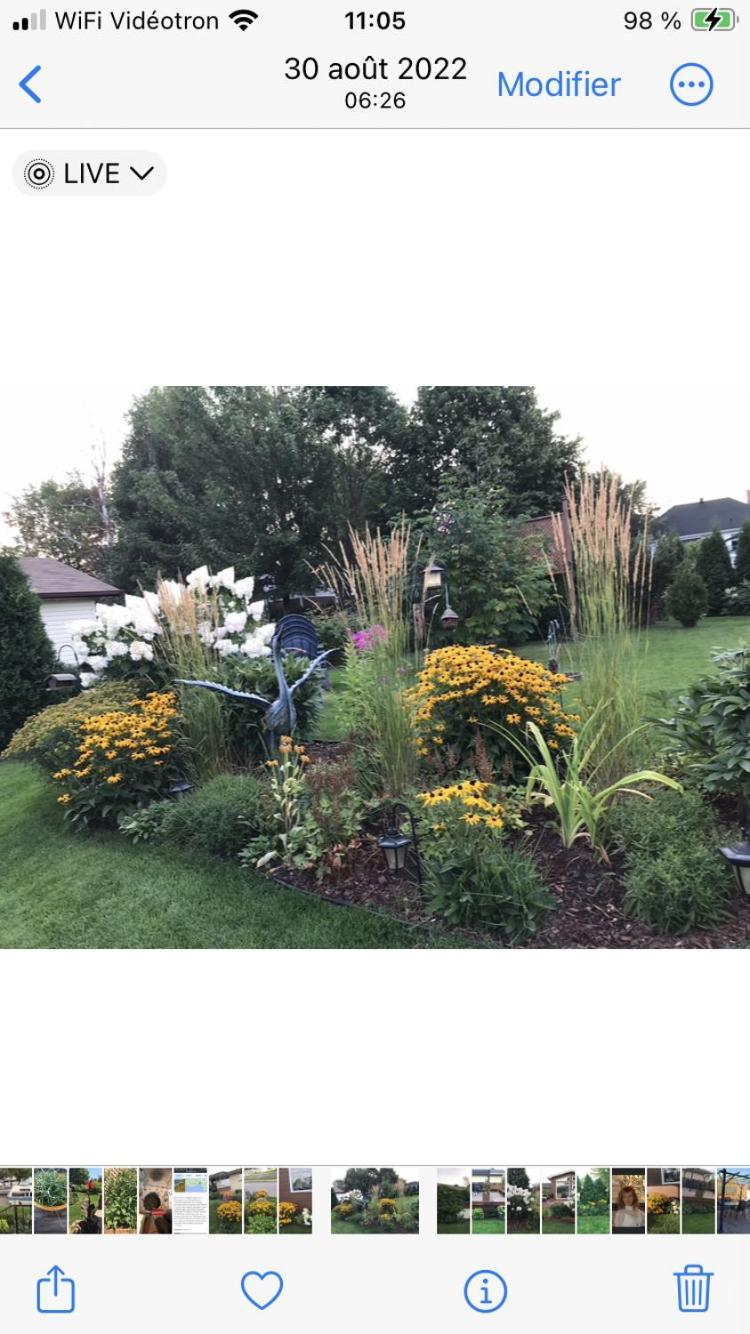Oasis De La Riviere Lägenhet Chicoutimi Exteriör bild