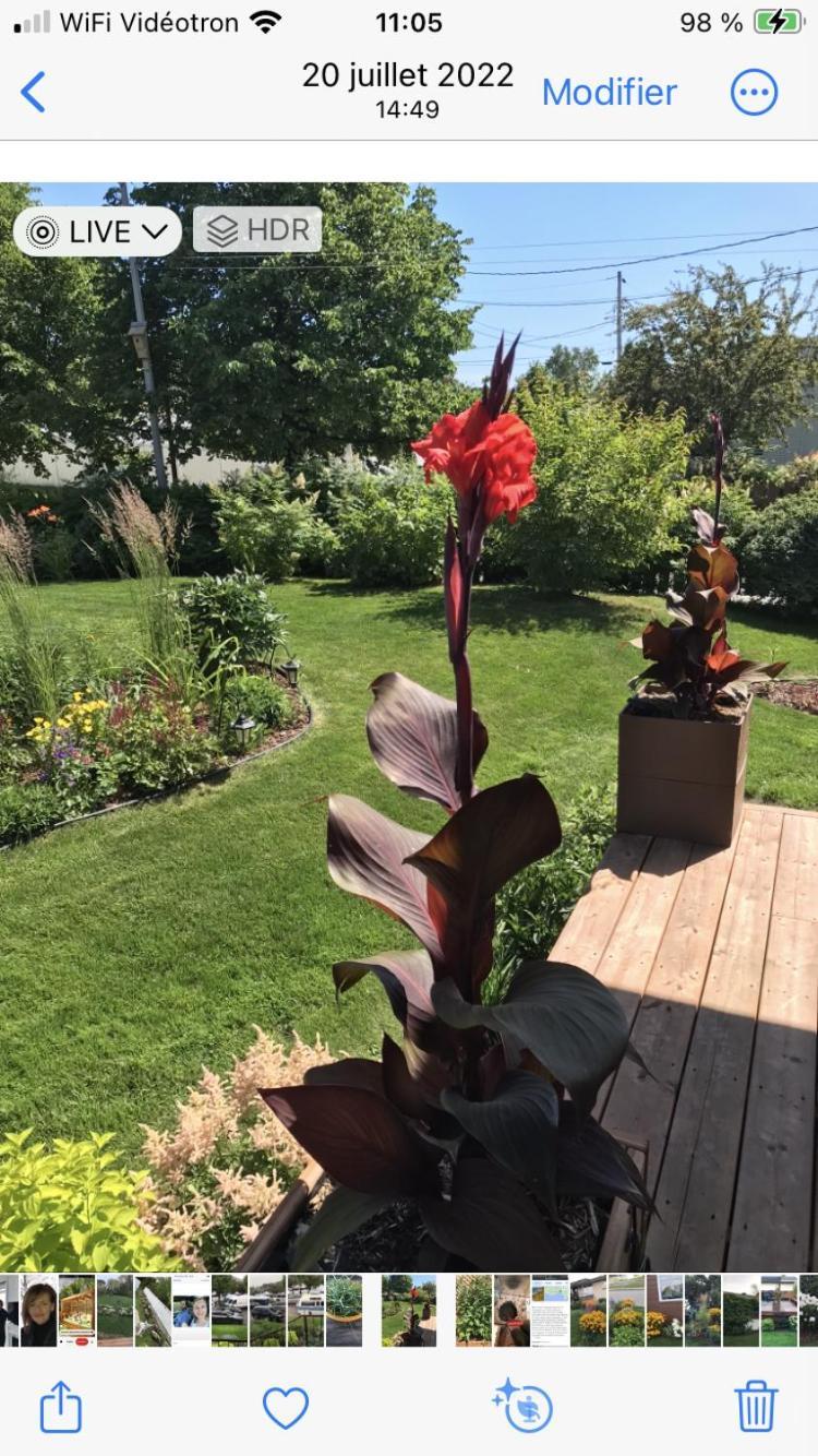 Oasis De La Riviere Lägenhet Chicoutimi Exteriör bild